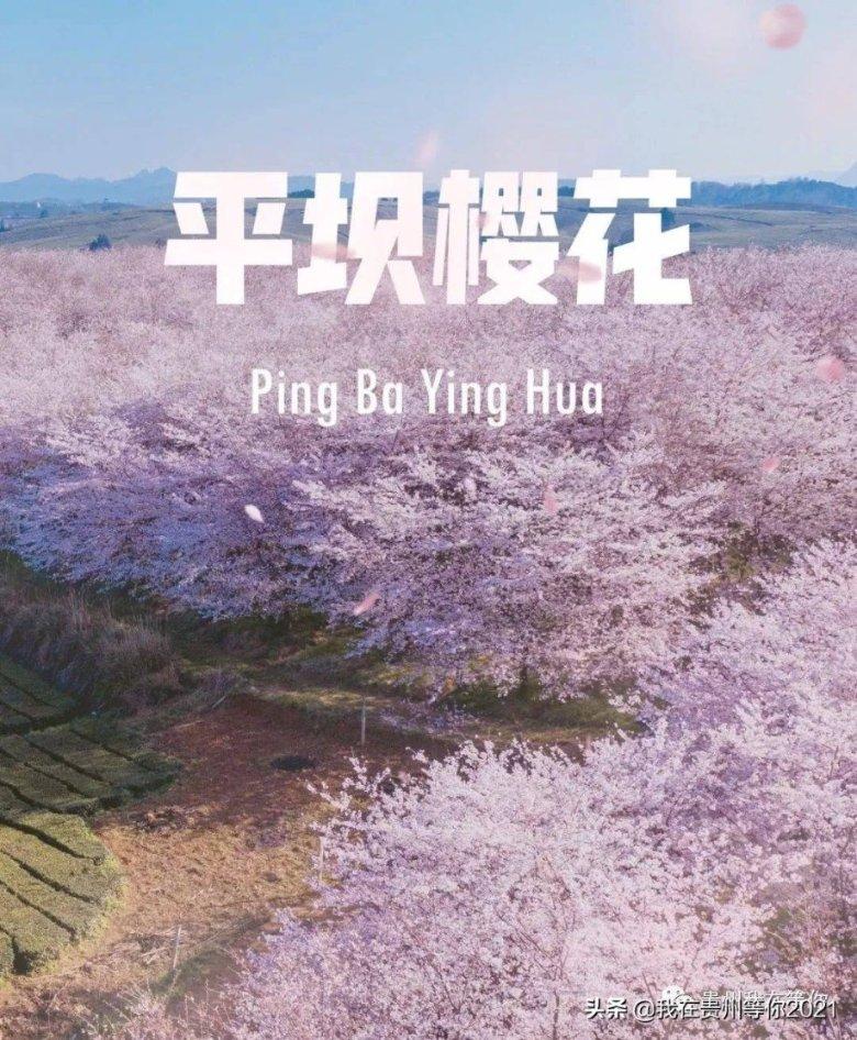 沪江开心词场